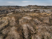 N°TSFSII12 (The Spanish Farmland Series II, Spain)