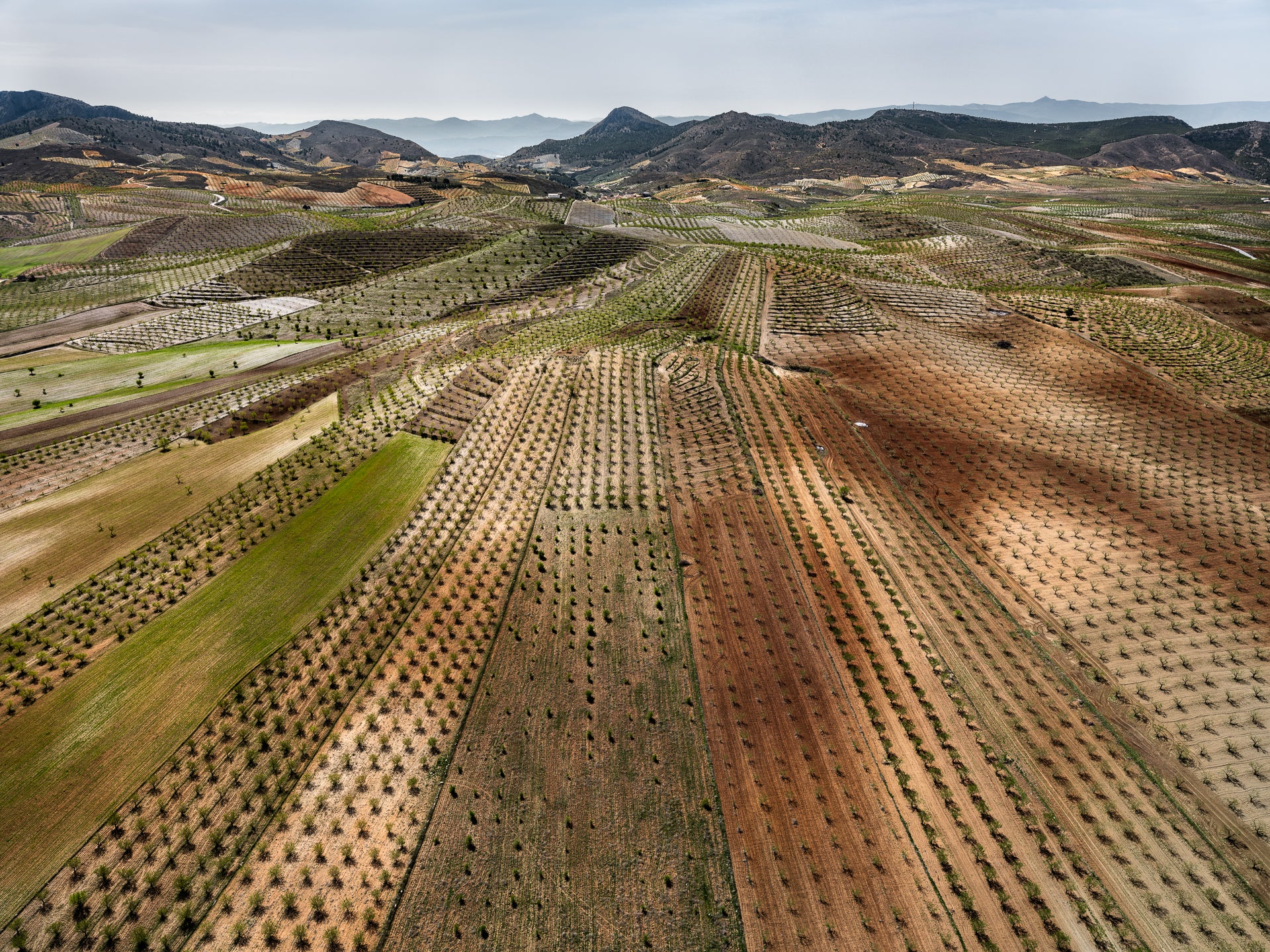 N°TSFSII13 (The Spanish Farmland Series II, Spain) by Tom Hegen, limited edition photography