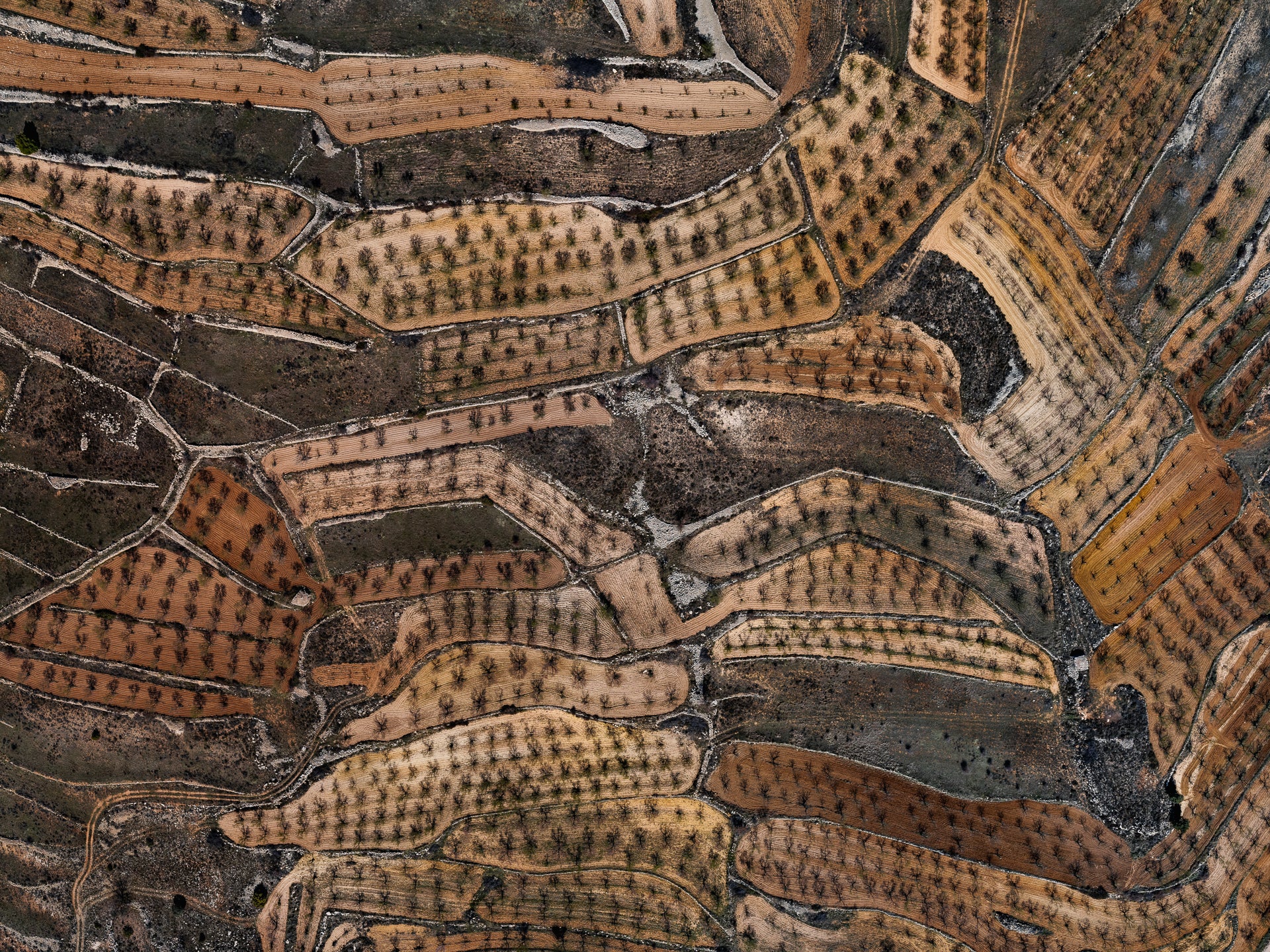 N°TSFSII15 (The Spanish  Farmland Series II, Spain) by Tom Hegen, limited edition photography