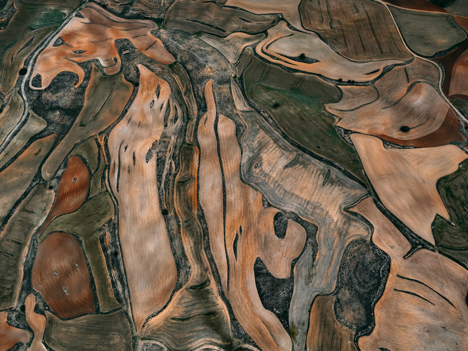 N°TSFSII18 (The Spanish  Farmland Series II, Spain) by Tom Hegen, limited edition photography