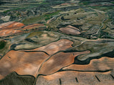 N°TSFSII19 (The Spanish Farmland Series II, Spain)