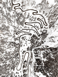 N°TSPS17 (The Swiss Pass Series, Malojapas, Switzerland)