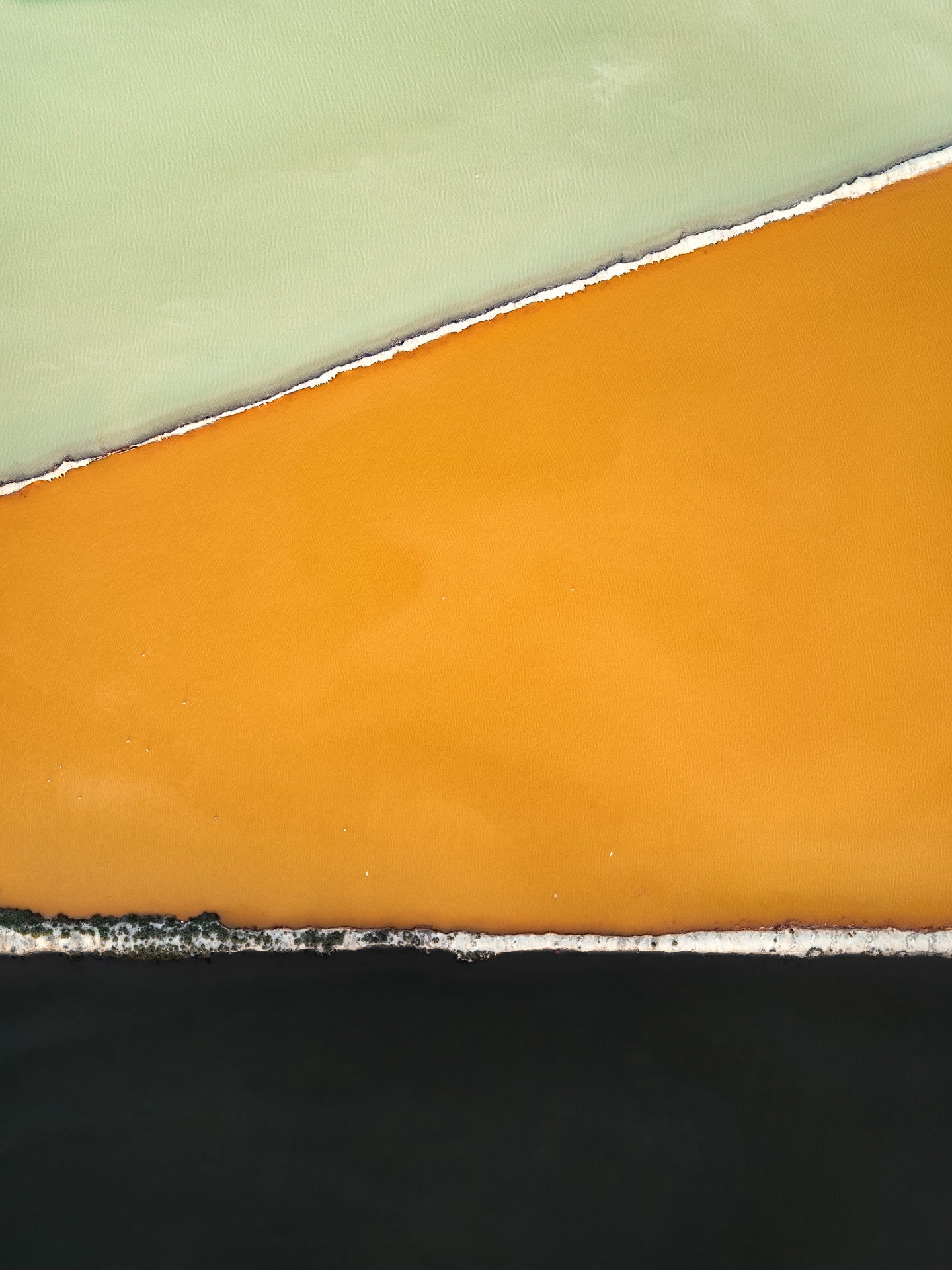 N°TSSIII26 (The Salt Series III, USA) by Tom Hegen, limited edition photography