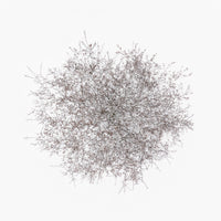 N°TTCS01 (The Tree Crown Series, Germany)