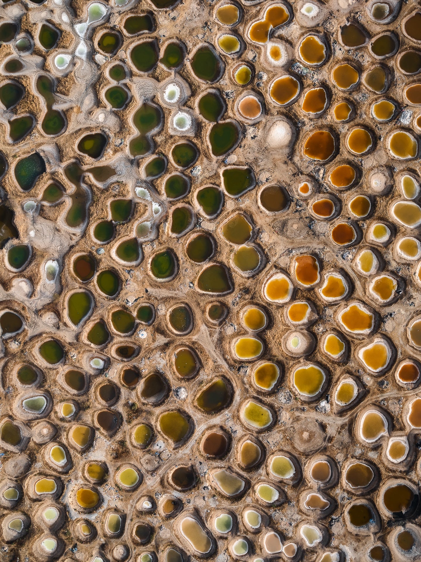 N°TSSIV01 (The Salt Series IV, Senegal) by Tom Hegen, limited edition photography