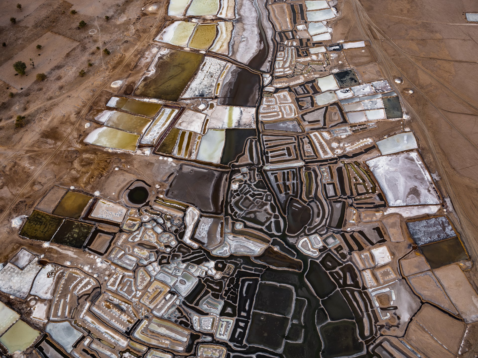 N°TSSIV06 (The Salt Series IV, Senegal) by Tom Hegen, limited edition photography