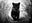 Black Panther by David Yarrow, limited edition photography