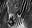 The Puzzle by David Yarrow, limited edition photography
