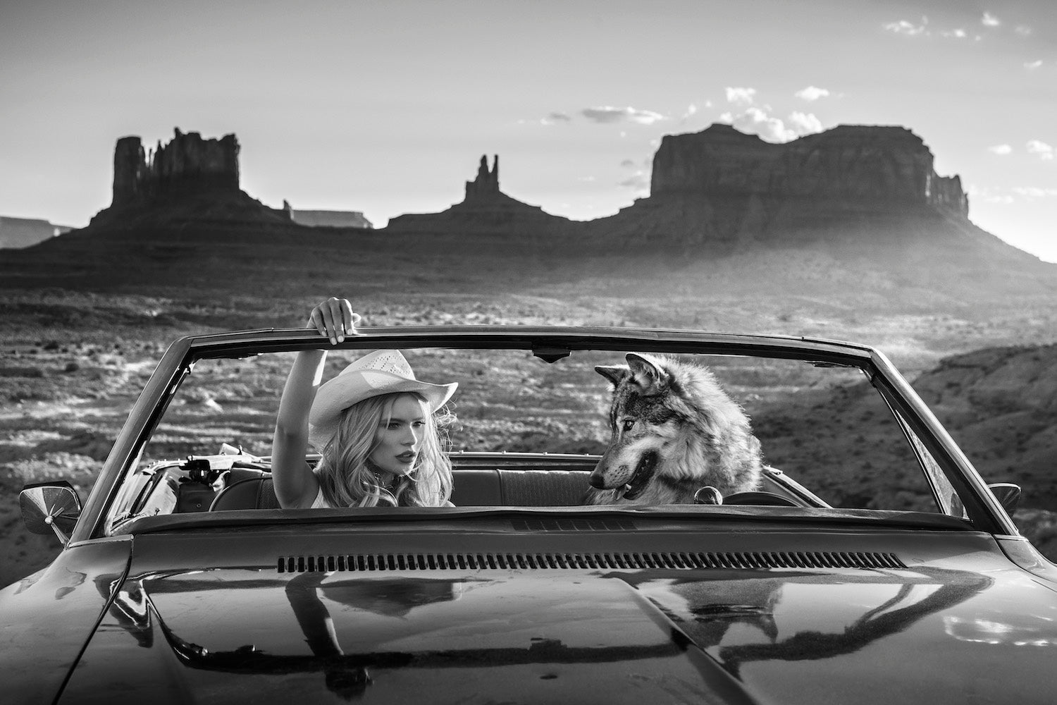 The break up by David Yarrow, limited edition photography