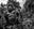 Judge and Jury by David Yarrow, limited edition photography