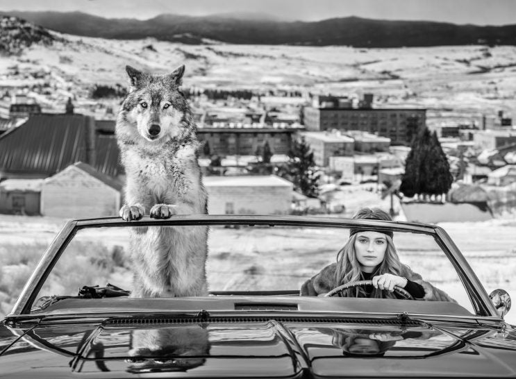 Bonnie und Clyde by David Yarrow, limited edition photography