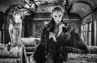The Girl On The Train