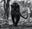 Remains of the Day by David Yarrow, limited edition photography