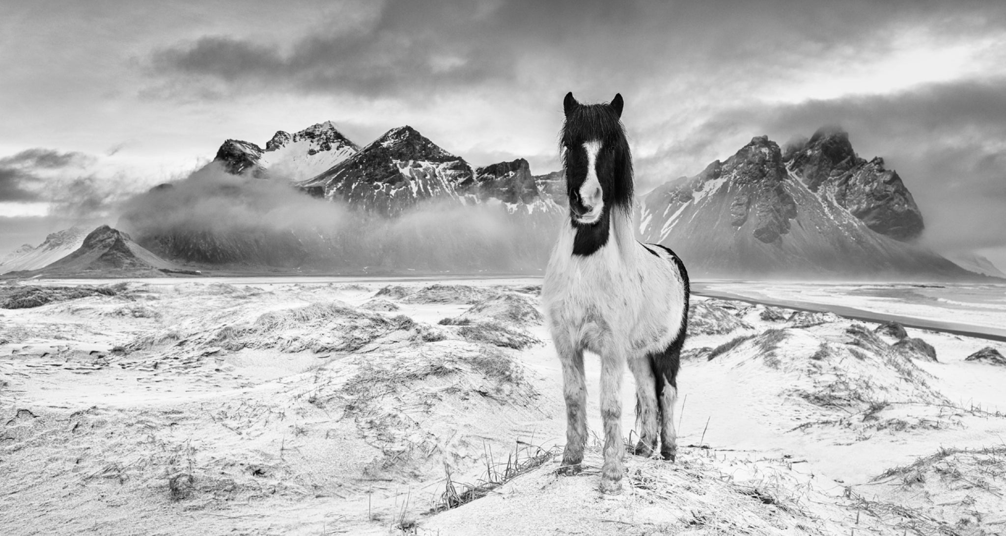 True North by David Yarrow, limited edition photography