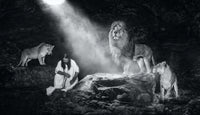 The book of Daniel