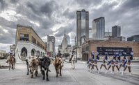 The Dallas Cowboys (colour)