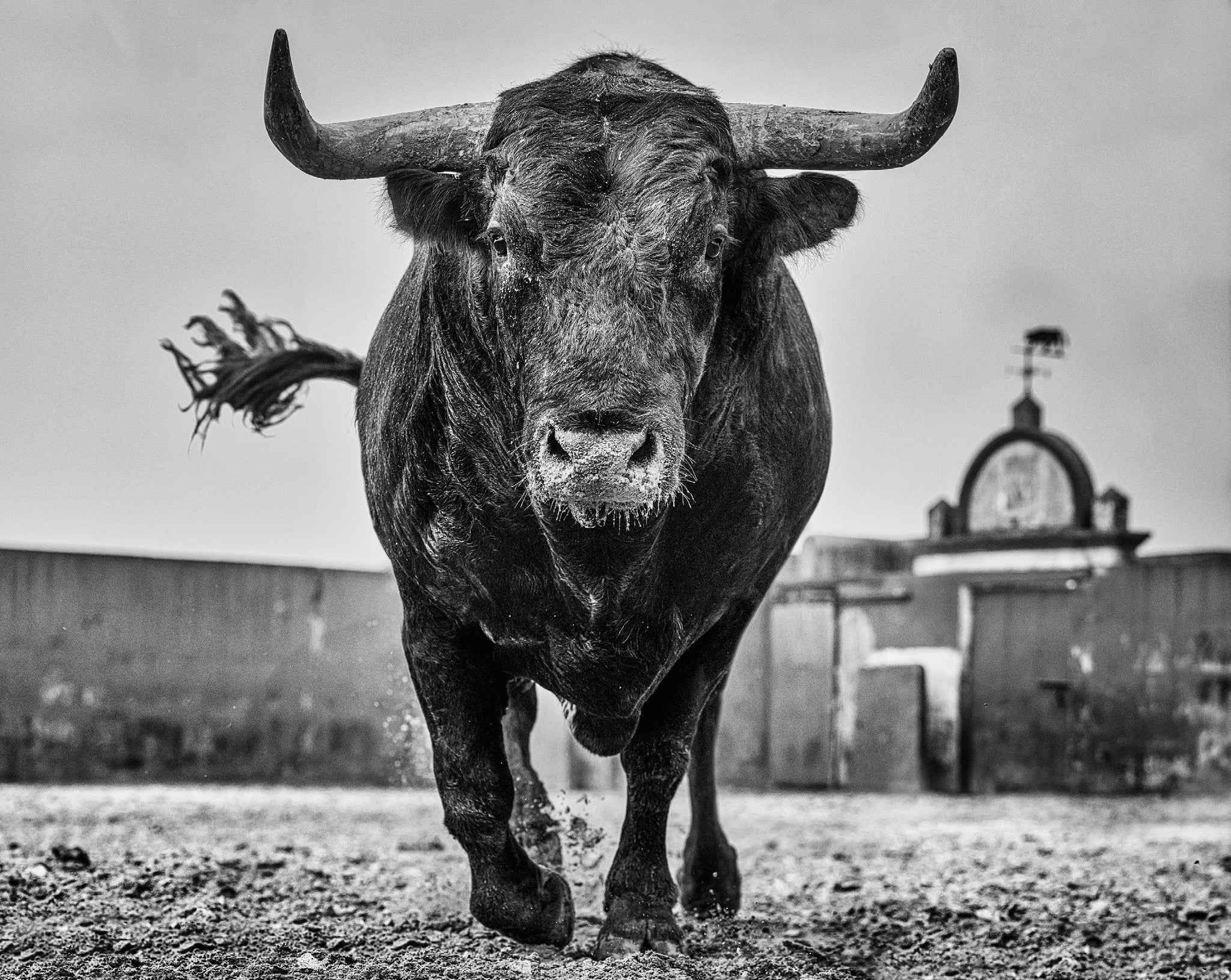 El Toro