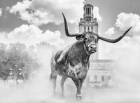 Hook 'Em Horns