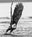 Take Off by David Yarrow, limited edition photography