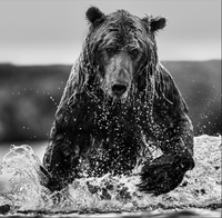 Gone Fishing