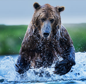 Gone Fishing (Colour)