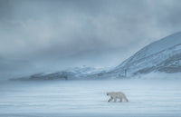 North of The Wall