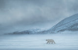 North of The Wall