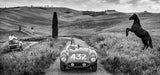 The Prancing Horse - B&W