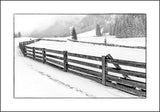 Full White And Other Colors Nr. 12